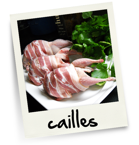cailles cailles