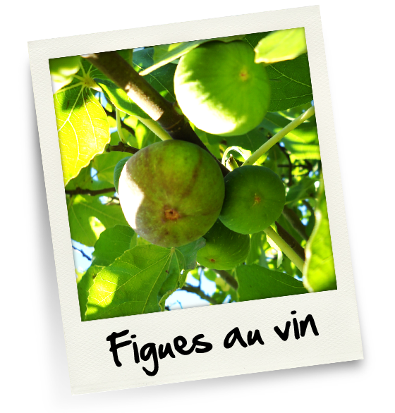 figues01